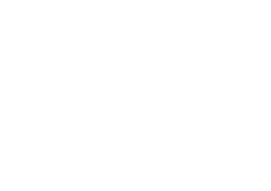 LKProfessionals