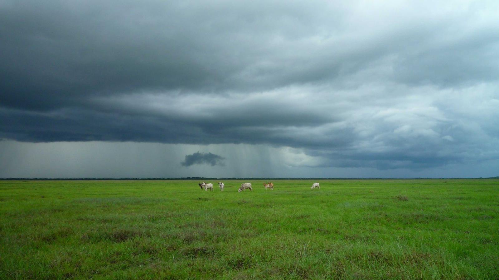 Enterprise Web Application Development